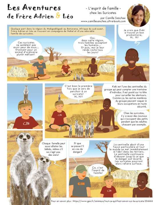 BD, revue Les Naturalistes Québec